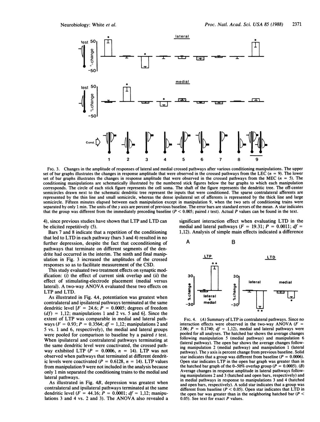 Neurobiology: White et al. test 50 T a C.).L lateral Proc. Natl. Acad. Sci. USA 85 (1988) 2371 _~-- -+- -~- ' - -L-1 ' --:I 1-50 test 50 Al0) C -ri -50 AL Cofnd 1l j(j 4 s 1 2 3 