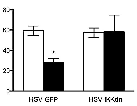 IκK is necessary and sufficient for social avoidance Chronic Social Defeat Microdefeat