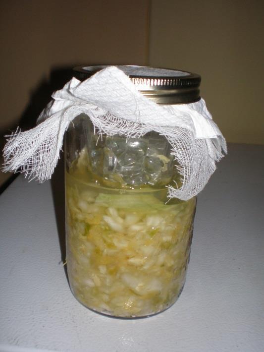 Sauerkraut production Why is salt amount so