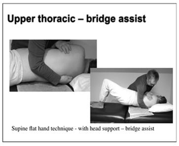 lumbrical grip to thoracic laminae and transverse processes