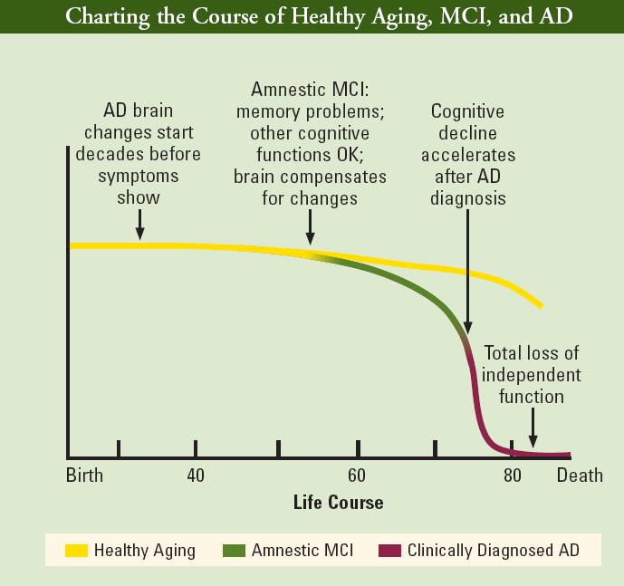 Current Management of AD Diagnosis (exclusion of other causes): Mild Cognitive Impairment (no functional decline) Alzheimer s Disease (functional decline) Interventions