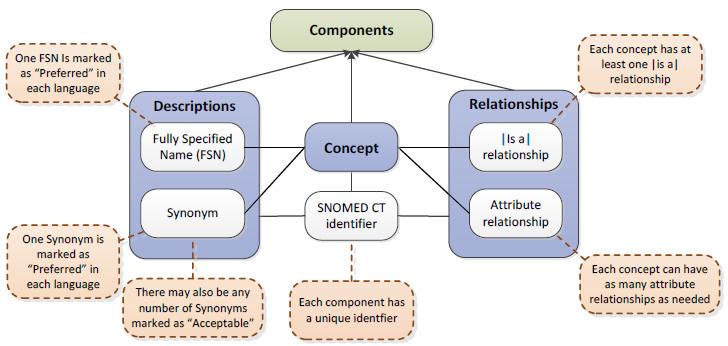 Figure 1. The SNOMED CT Logical Model The concept is composed of concept id, concept status, fully specified name, tag, CTV3 id, SNOMED id and Is Primitive.