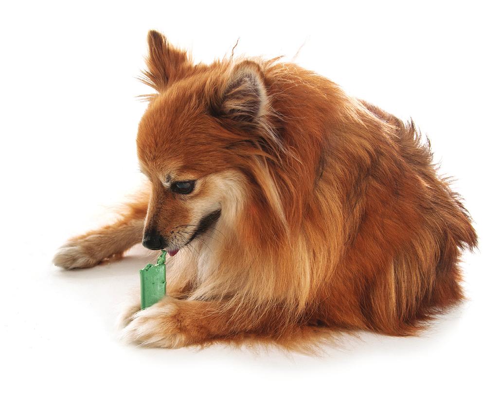 Extend the Benefits of a Dog s Prophy Using OraVet Dental Hygiene Chews Can Keep Dogs Teeth Cleaner Between In-clinic Cleanings Compared to controls, dogs treated with OraVet Barrier Sealant and