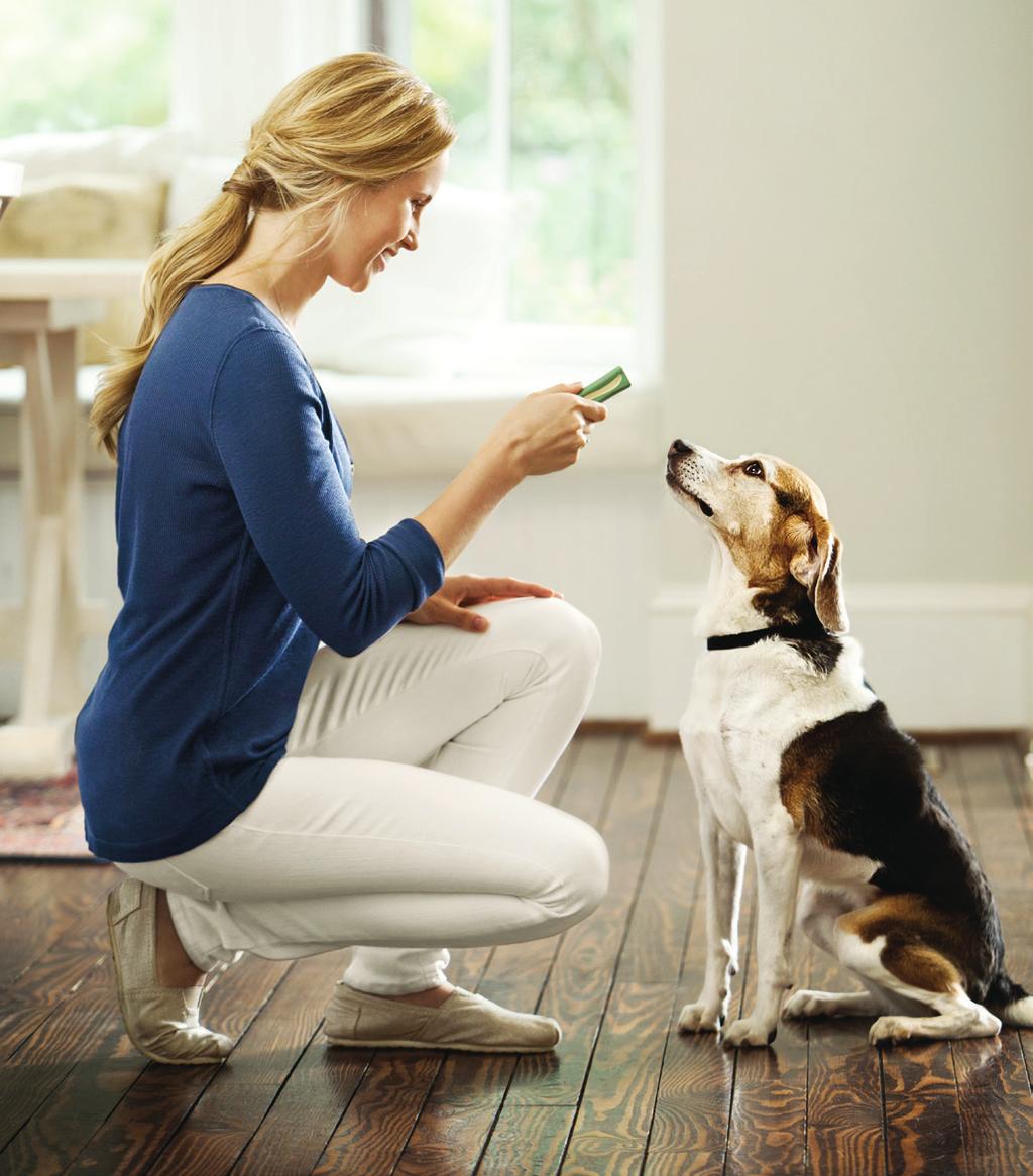 OraVet Dental Hygiene Chews Are Easy to Give Highly palatable: In a laboratory study, the average palatability score of OraVet Dental Hygiene Chews indicated that in most instances dogs accepted the
