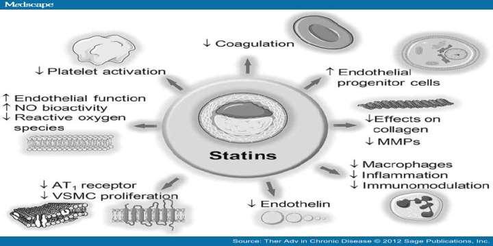 Statins, What is behind the pleiotropic effects.
