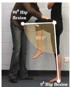 2.1.6.1.1 Primary Criteria for impaired muscle power - Lower limb Athletes are eligible if they meet ONE OR MORE of the following criteria: Primary Criterion #1 Hip flexion loss of 3 muscle grade