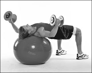 Do keep your weights directly above your chest when you lift them overhead. Don t open your arms so wide that you arch your back.