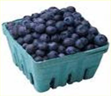 Berries- Super Foods known phytonutrients and are full of fiber Are