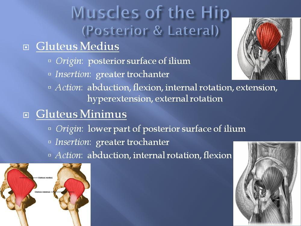 Intramuscular injections are done in the gluteus medius since it is more lateral and avoids the sciatic nerve. The gluteus medius and minimus are located more lateral than the gluteus maximus.