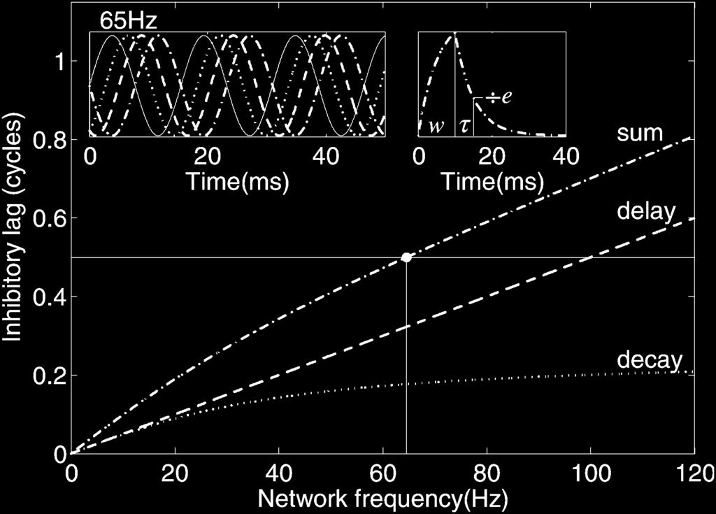 2 IEEE TRANSACTIONS ON NEURAL NETWORKS Fig. 1. Inhibition lags network activity by half a cycle at the synchronous frequency (65 Hz).