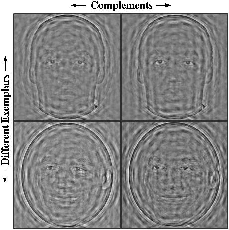 Filtered complementary images for the famous face verification task of Exp. II. Shown are the four images (2 exemplars x 2 complements) created for the images of O. J.