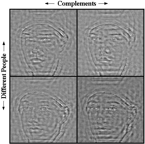 Fig. 9. Example images (from the Faces I set) for the unfamiliar face matching task of Exp. IV.
