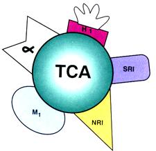 Tricyclics All tricyclics block reuptake pumps for both 5HT and NE and they work negative allosteric modulators of neurotransmitter uptake
