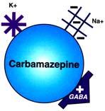 -Enhancing inhibitory neurotransmission with GABA, by increasing its