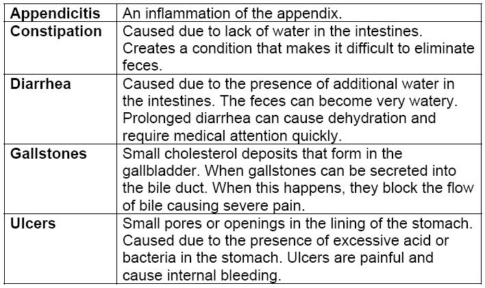 Liver, Gallbladder, and Large Intestine The liver produces bile. Bile is a liquid that digests large fat particles. Bile is stored in gall bladder.
