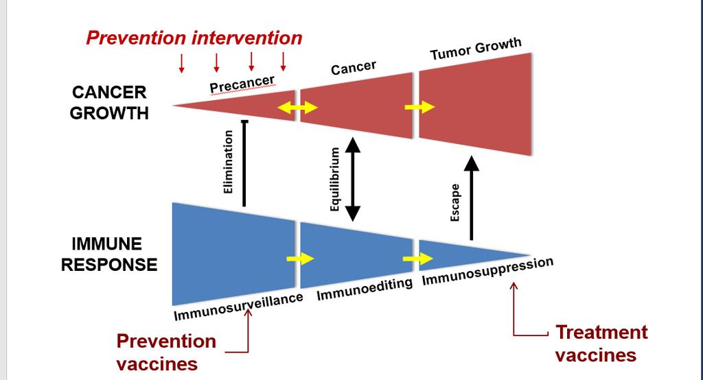 As carcinogenesis progresses->immune system gets suppressed = immunoediting Good immune cells go away & bad cells