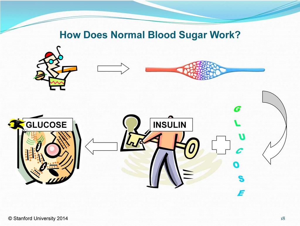 How does normal blood sugar work in someone who does not have diabetes? Much of the food we eat gets changed into glucose, a sugar, which goes into our blood. We need this glucose for energy.
