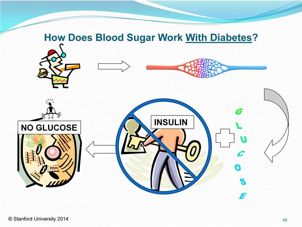 NO Insulin or NOT ENOUGH insulin means NO key to make the glucose go into our cells. The glucose or sugar stays in our blood.
