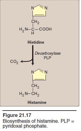 Histamine Histamine is a chemical messenger that mediates a wide range of cellular responses, including allergic and inflammatory reactions, gastric acid secretion, and possibly neurotransmission in