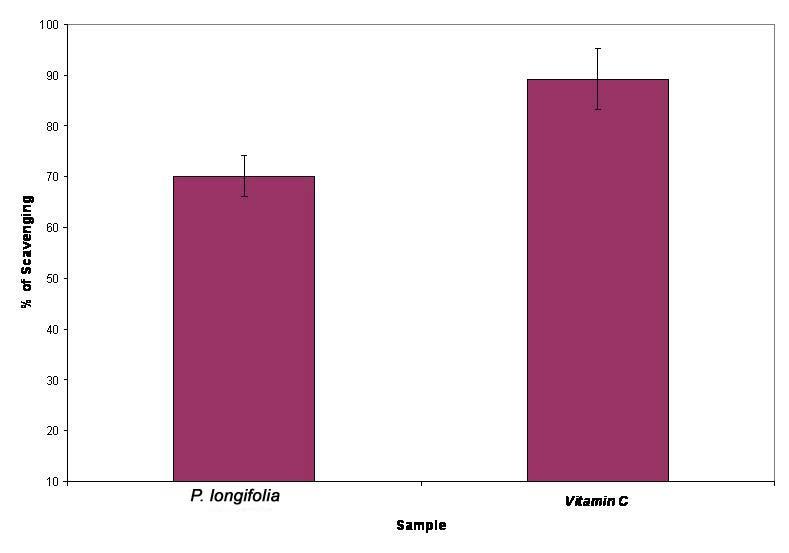 antioxidant activity of P. longifolia extract likely involves other mechanisms in addition to those of reductones. Fig. 1: Antioxidative effects (DPPH radical scavenging activity) of P.