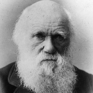 Charles Darwin Rome III - Functional Gastroduodenal Disorders Functional Dyspepsia - Postprandial distress syndrome - Epigastric pain syndrome Belching Disorders - Aerophagia - Unspecified