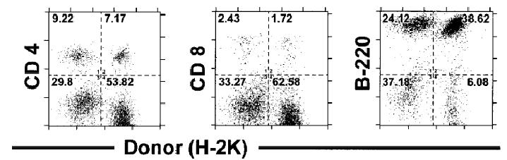 Mixed chimerism across full MHC barrier using Fludarabine, 200 cgy