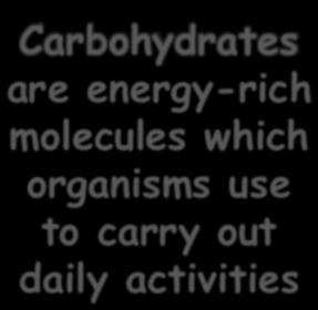 molecules which organisms use to carry out daily activities 5