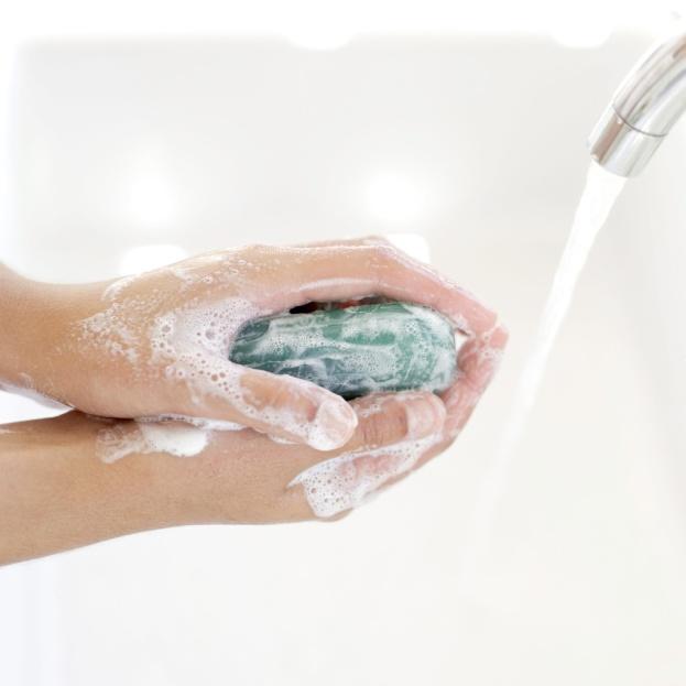 Hand Hygiene Provide resources and work environment that promote personal hygiene.
