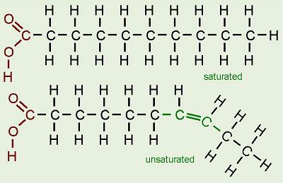 Saturated: Each carbon atom is single-bonded to 4 other