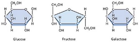 Glucose, fructose, and galactose have the same chemical