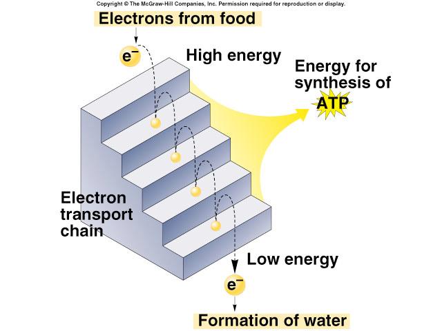 more electronegative controlled