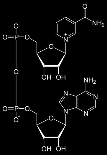 NAD + / NADH NAD + nicotinamide adenine dinucleotide