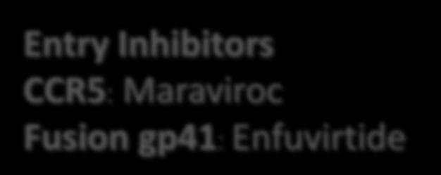 RNA 5 6 HIV Protea Entry Inhibitors CCR5: Maraviroc Fusion gp41: