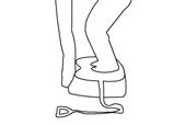 EXERCISE INSTRUCTIONS A/ Strength A01 SQUAT Stand on the Power-Plate with feet shoulder width apart. Keeping the back straight and knees slightly bent, gently squeeze the leg muscles.