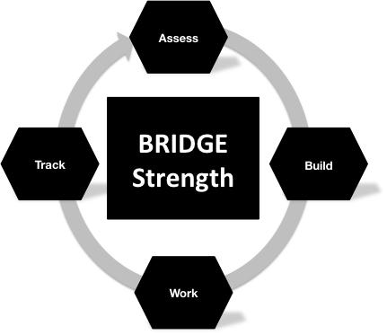The Solution: BridgeStrength BridgeAthle+c provides