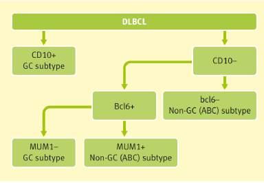 DLBCL - the HANS Classifier: Germinal centre (GC) & Activated B