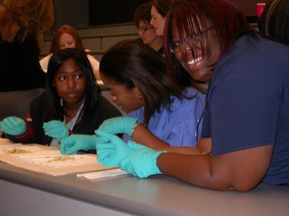 High School students explore the various employment options and career growth potential in dentistry and