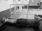 Straight leg or bent knee full sit-ups with hands behind neck
