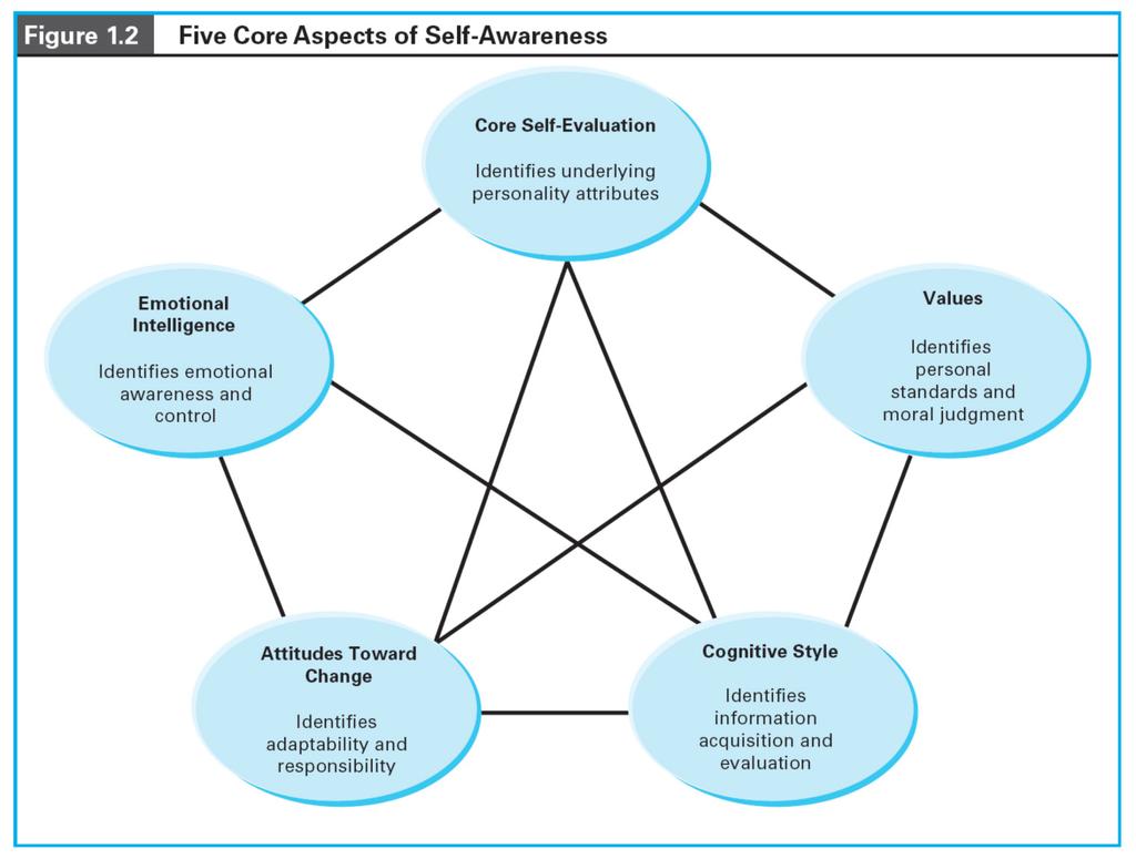 Five Areas of Self Awareness Copyright 2011