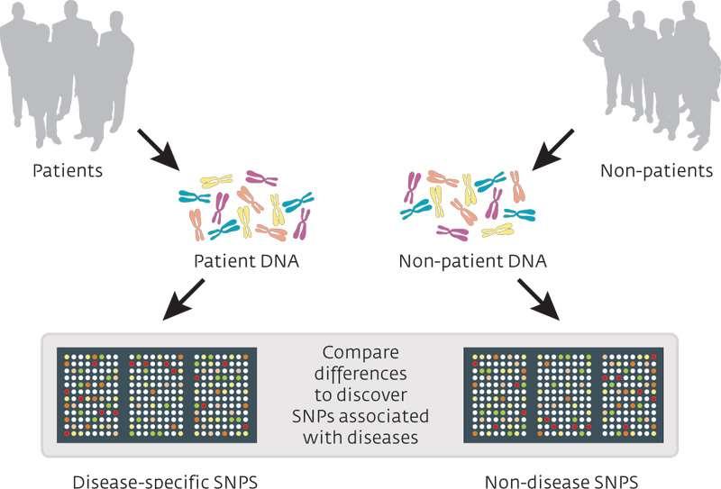 Genome-Wide Association Studies Patients Nonpatients Disease-specific markers Patient DNA Compare
