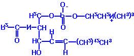 A sphingomylin: 3) Cholesterol A compact, rigid hydrophobic molecule that contains 4 fused rings and an 8 member branched hydrocarbon chain attached to the D ring at position 17.