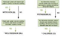 Phosphorus (P) Potassium (K) *http://landresources.montana.edu/ NM/Modules/Module9.pdf 1. N 2. P 3.