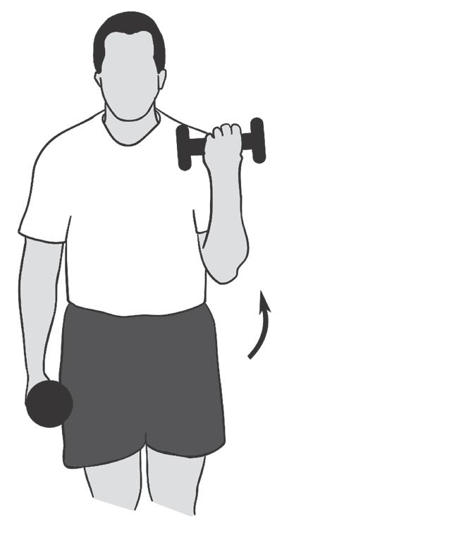 10. Elbow Flexion sets of 8 Main muscles worked: Biceps You should feel this exercise at the front of your upper arm Equipment needed: Begin with a weight that allows sets of 8 repetitions and