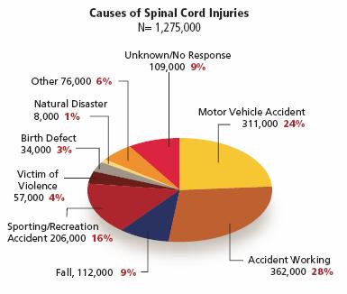 Accidents while working (28%), motor vehicle accidents (24%) and sporting/recreation accidents (16%) were the leading causes of spinal cord injury.