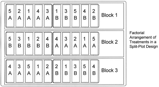 The top half of figure 4 shows a factorial arrangement of treatments in a randomized complete block design. Figure 4.