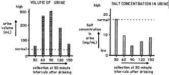 Distal tubule 10 34. Using human subjects, an investigation was carried out to look at the effect of drinking distilled water on the production and composition of the urine.