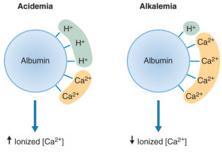 Adverese effects Excessive alkalemia Impaired O 2 release frm Hb Paradxical intracellular acidsis Hypcalcemic tetany