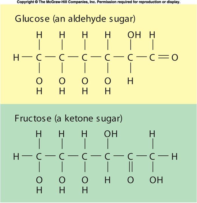 Carbohydrates Keys Monosaccharide or Glucose (C