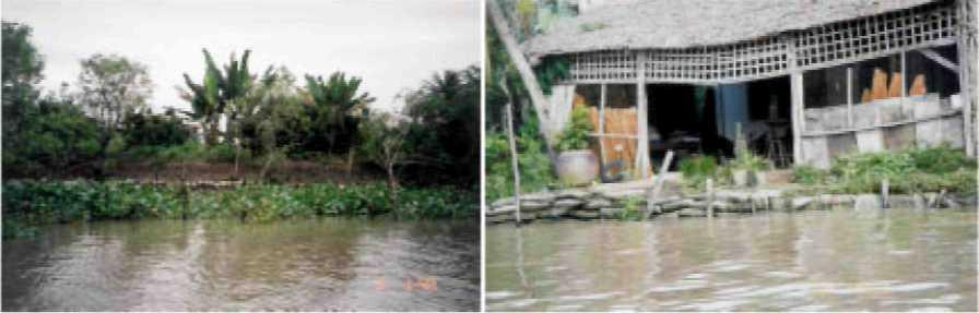 of the Mekong delta (Photo 2). Photo 2.