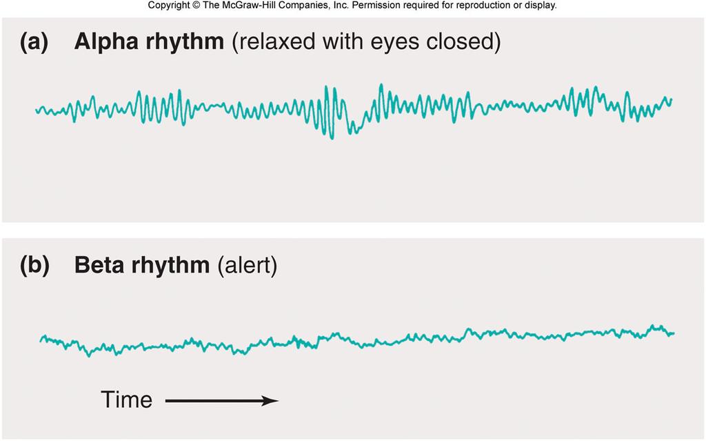 The Waking State Beta rhythm Attentive to an outside